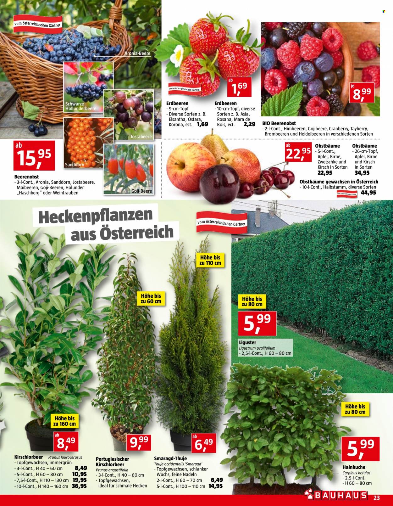 Angebote Bauhaus - Verkaufsprodukte - Äpfel, Erdbeeren, Obstbaum. Seite 23.