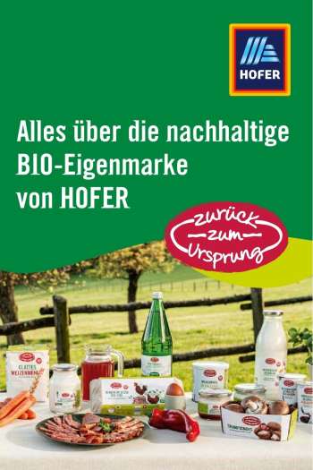 Angebote Hofer.