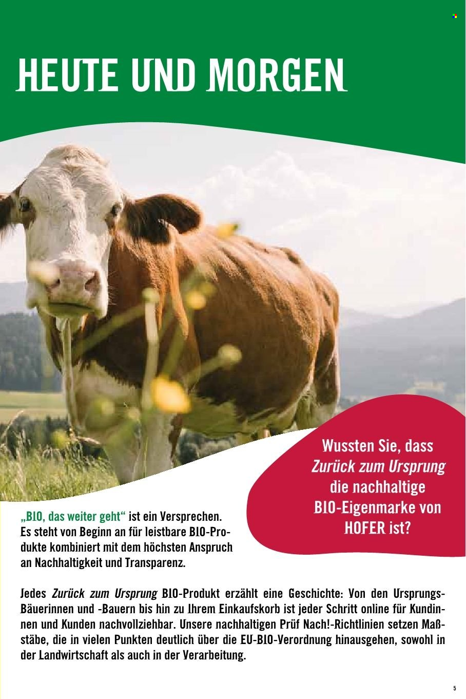 Angebote Hofer. Seite 1