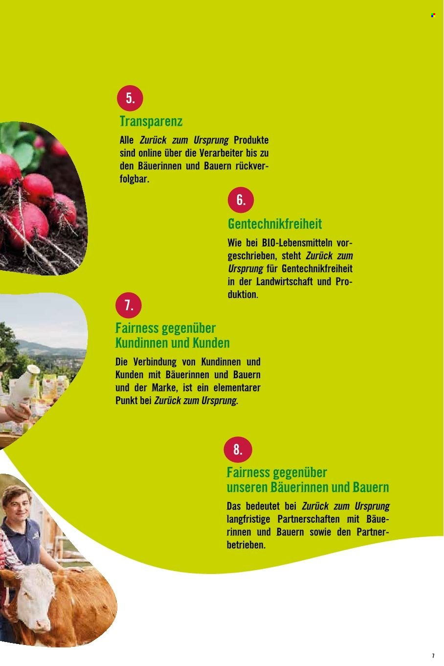 Angebote Hofer. Seite 1