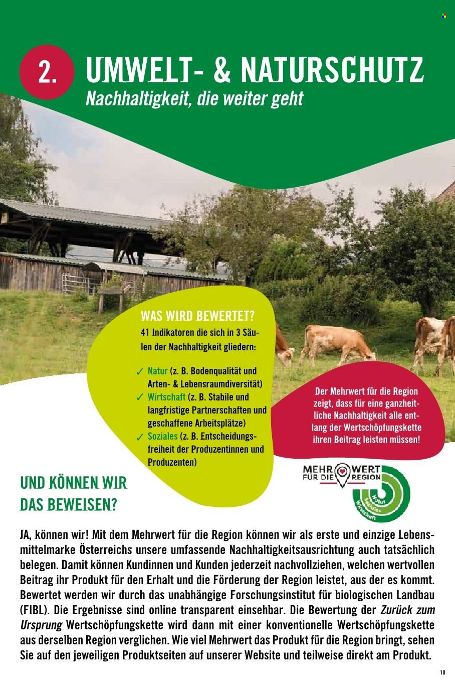 Angebote Hofer. Seite 1
