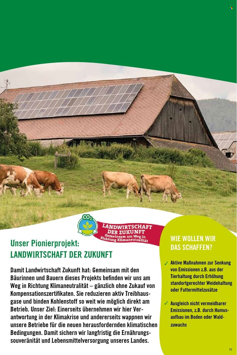 Angebote Hofer. Seite 1