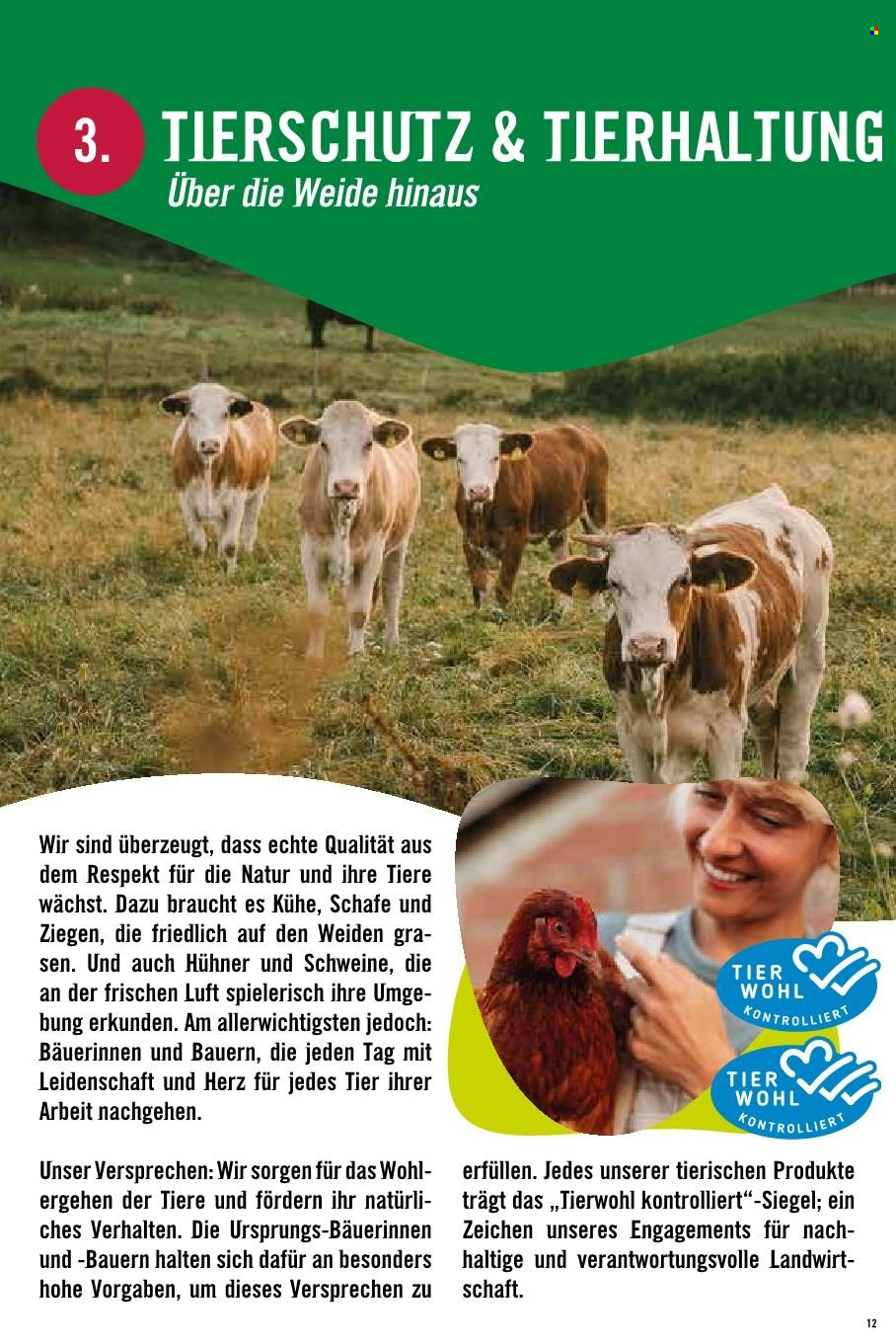 Angebote Hofer. Seite 1