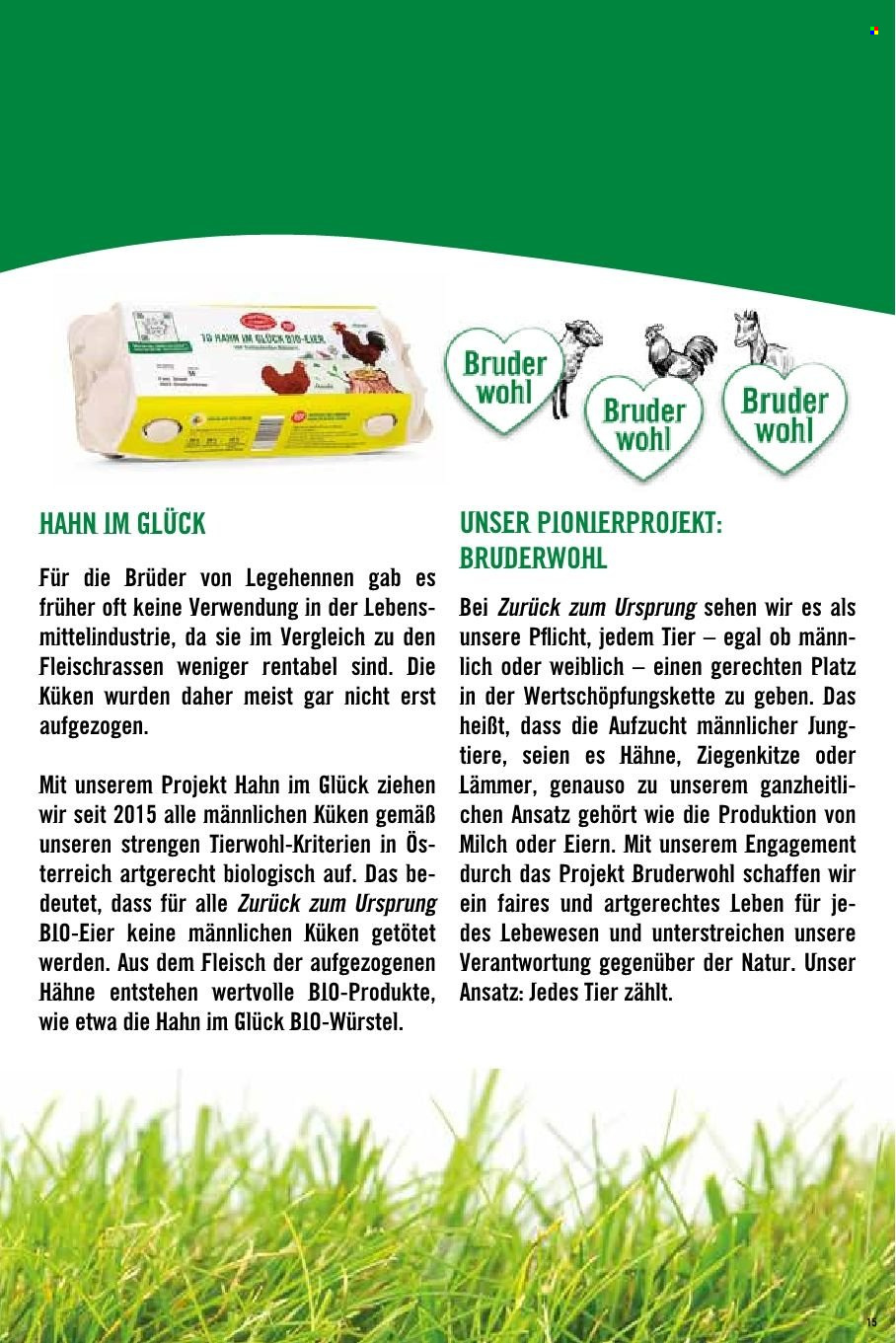 Angebote Hofer. Seite 1