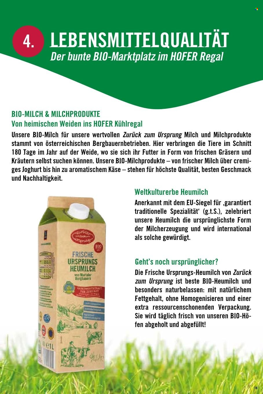 Angebote Hofer. Seite 1