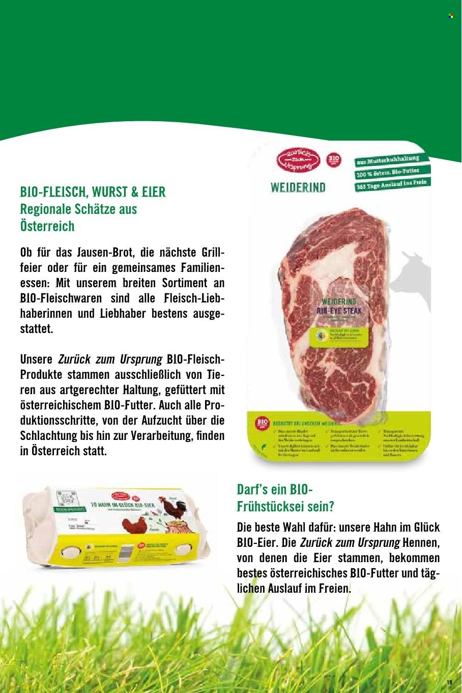 Angebote Hofer. Seite 1