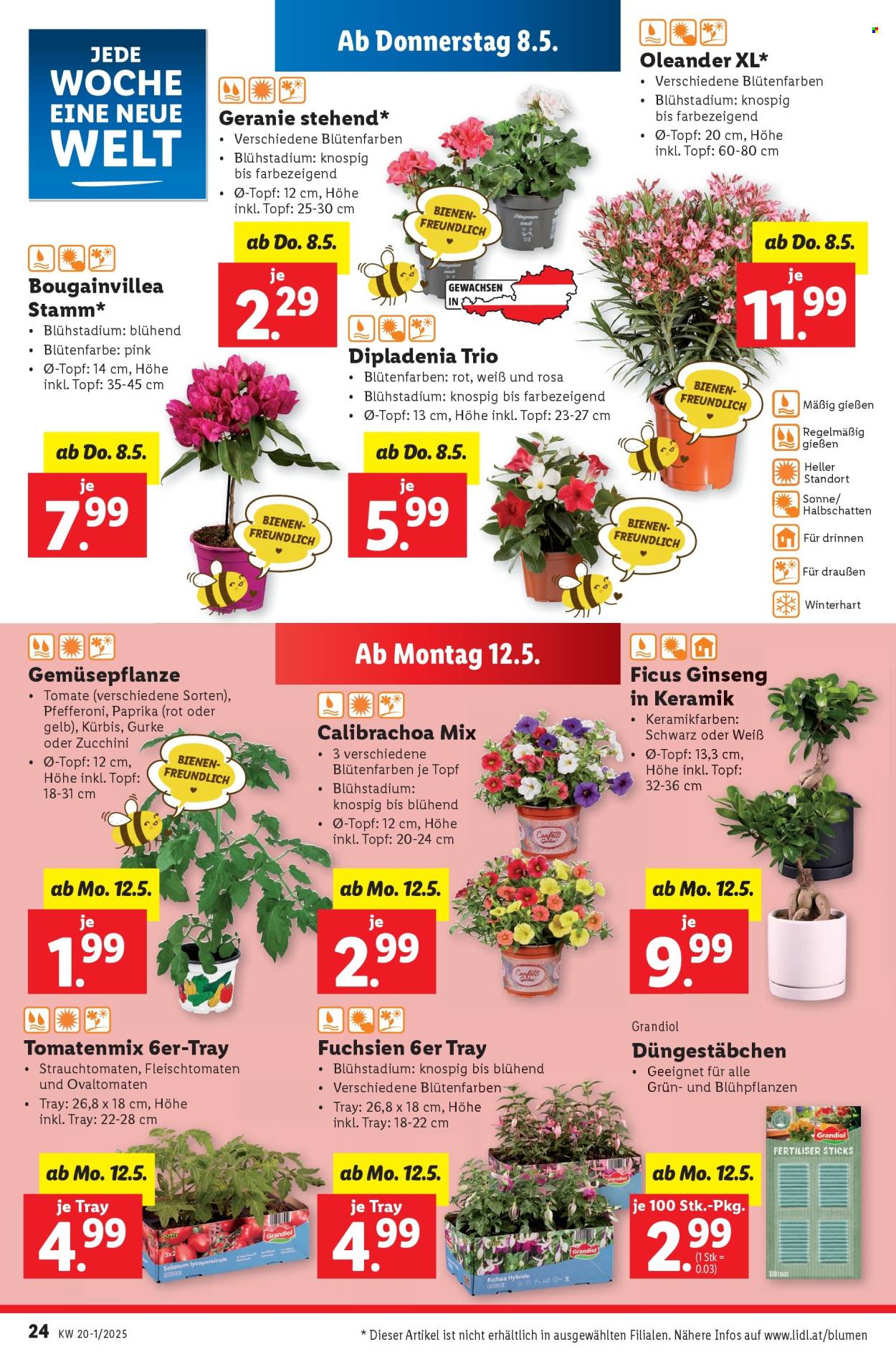 Angebote Lidl - 8.5.2025 - 14.5.2025. Seite 1