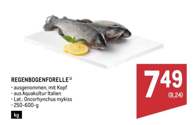 Regenbogenforelle