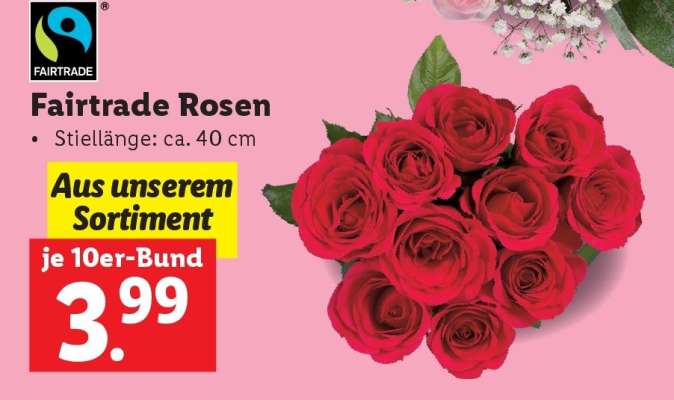 Fairtrade Rosen