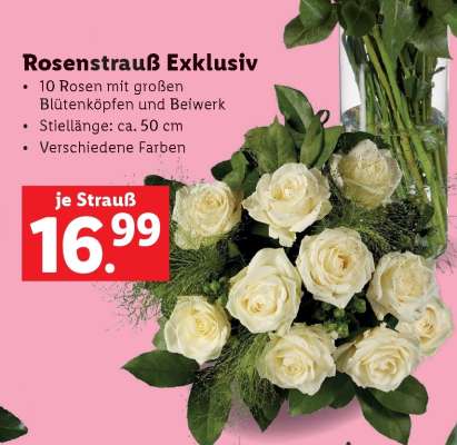 Rosenstrauß Exklusiv