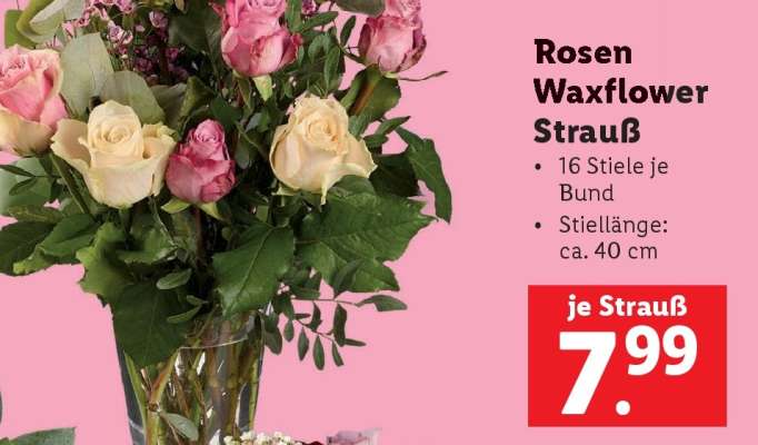 Rosen Waxflower Strauß