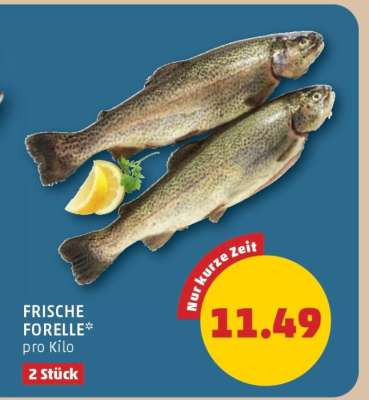 Frische Forelle