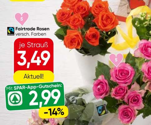 Fairtrade Rosen