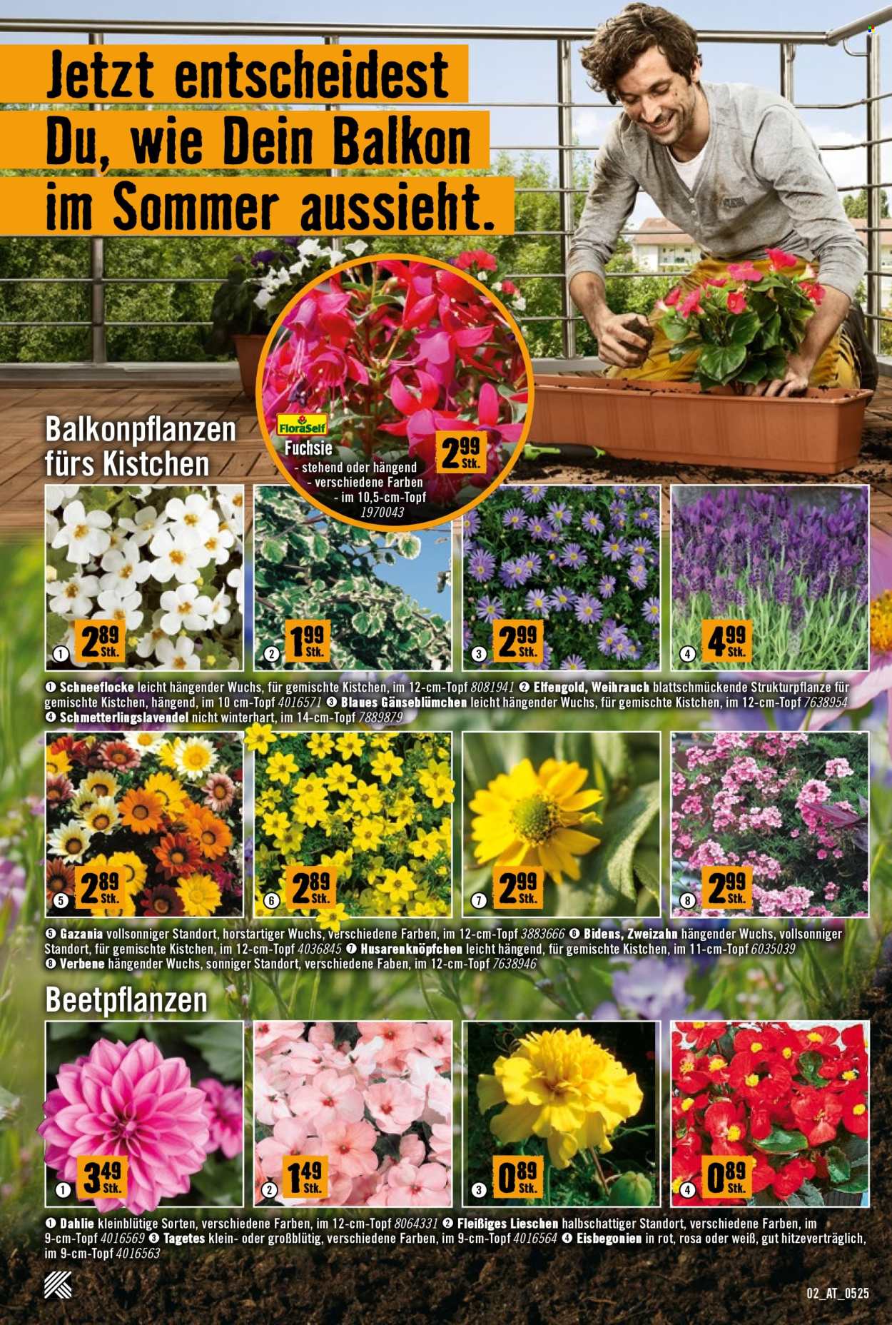 Angebote Hornbach - 8.5.2025 - 4.6.2025. Seite 1
