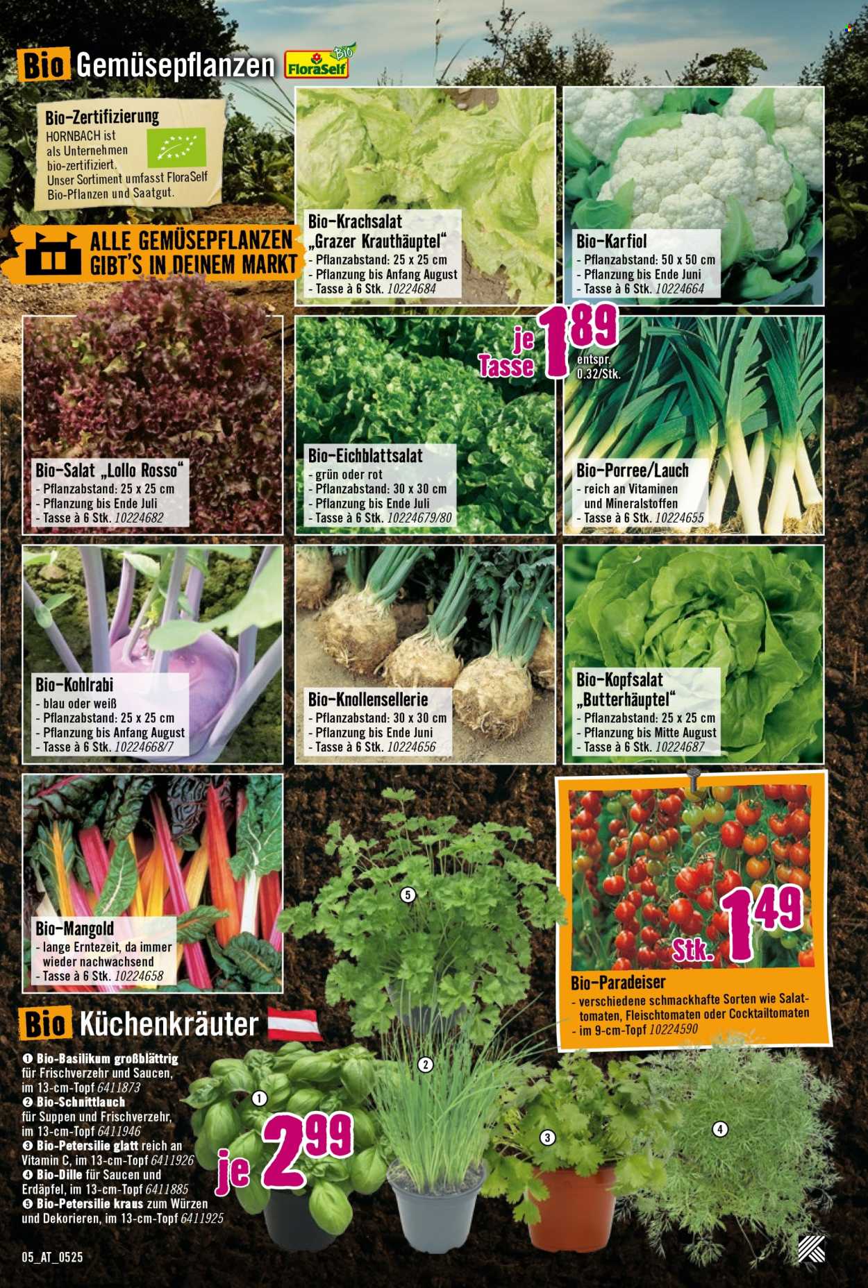 Angebote Hornbach - 8.5.2025 - 4.6.2025. Seite 1