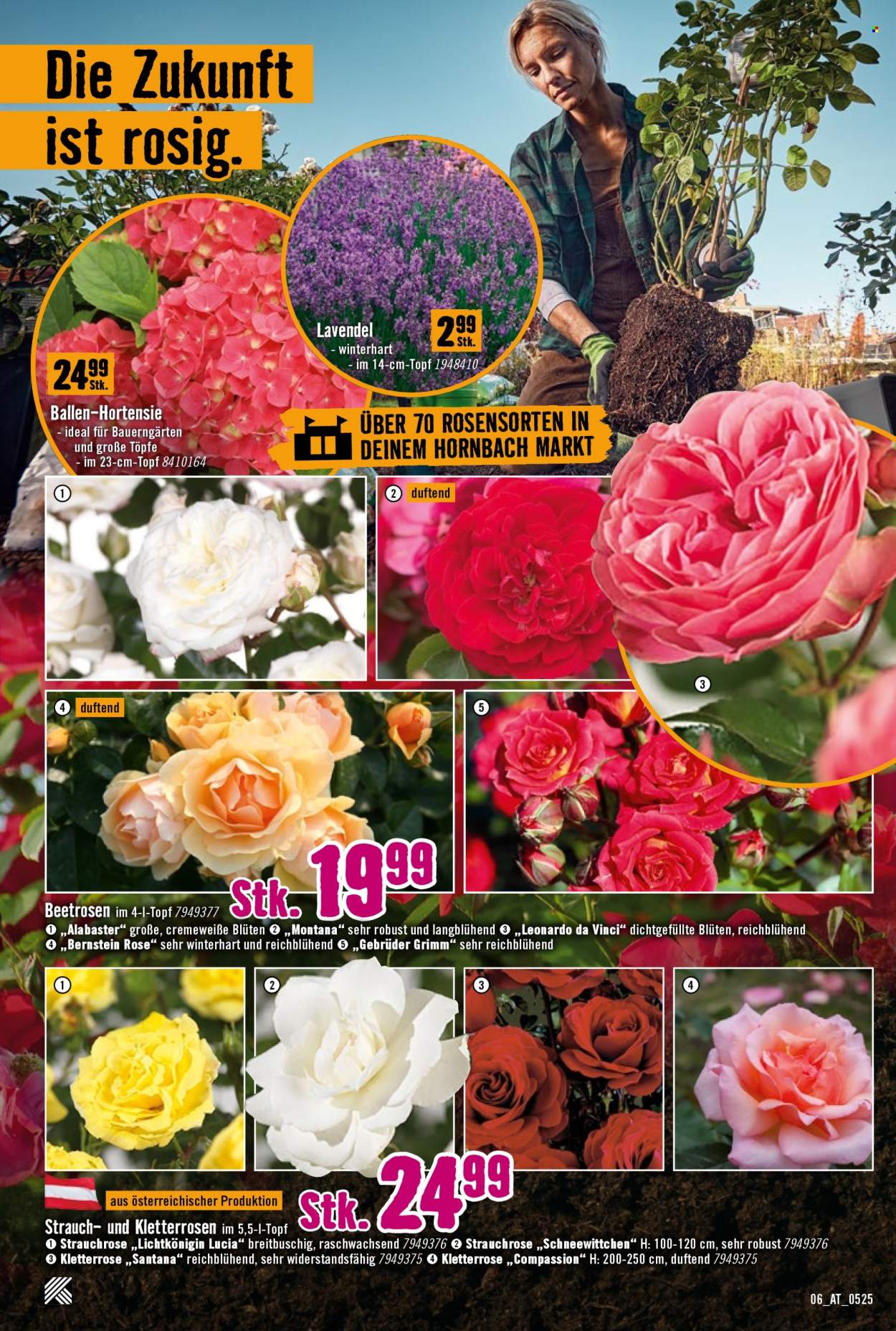 Angebote Hornbach - 8.5.2025 - 4.6.2025. Seite 1
