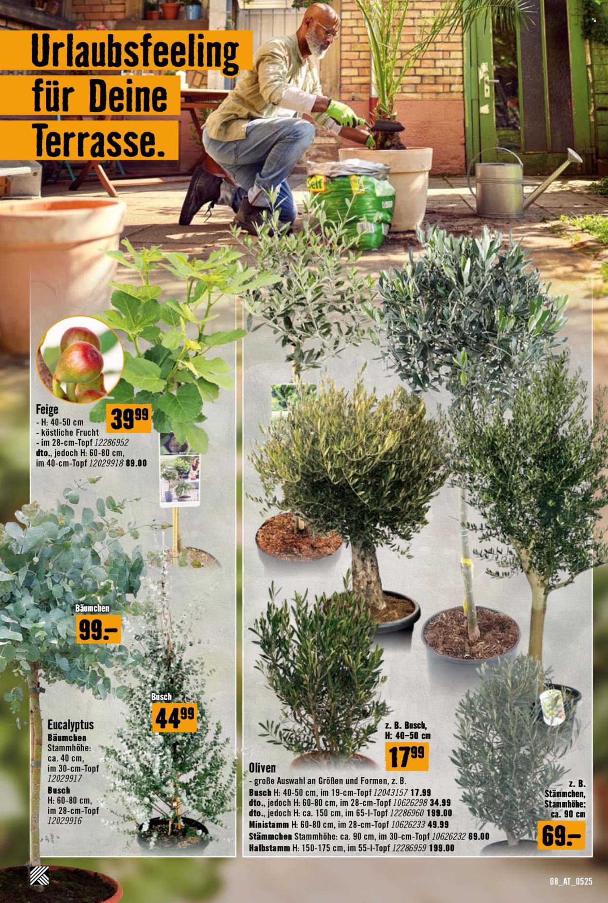 Angebote Hornbach - 8.5.2025 - 4.6.2025. Seite 1