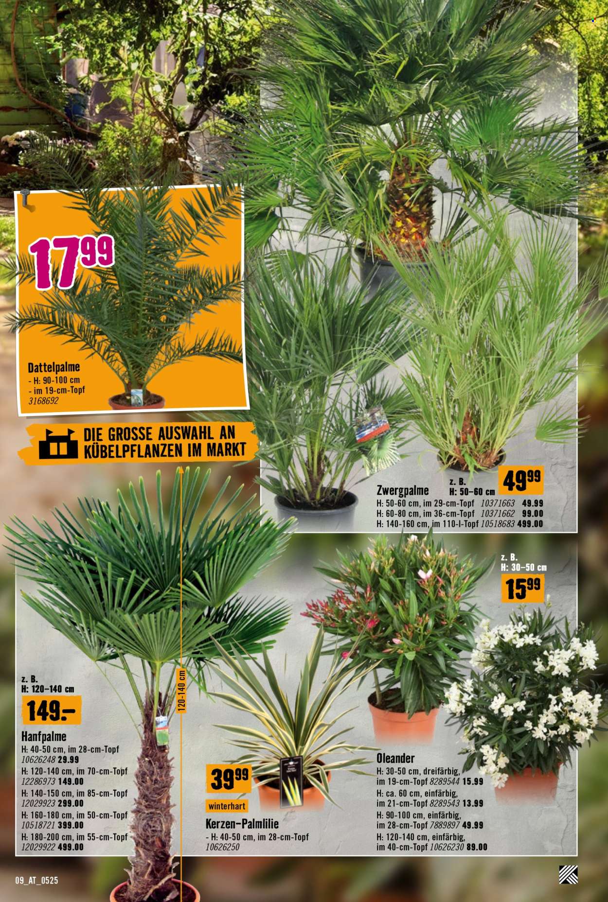 Angebote Hornbach - 8.5.2025 - 4.6.2025. Seite 1