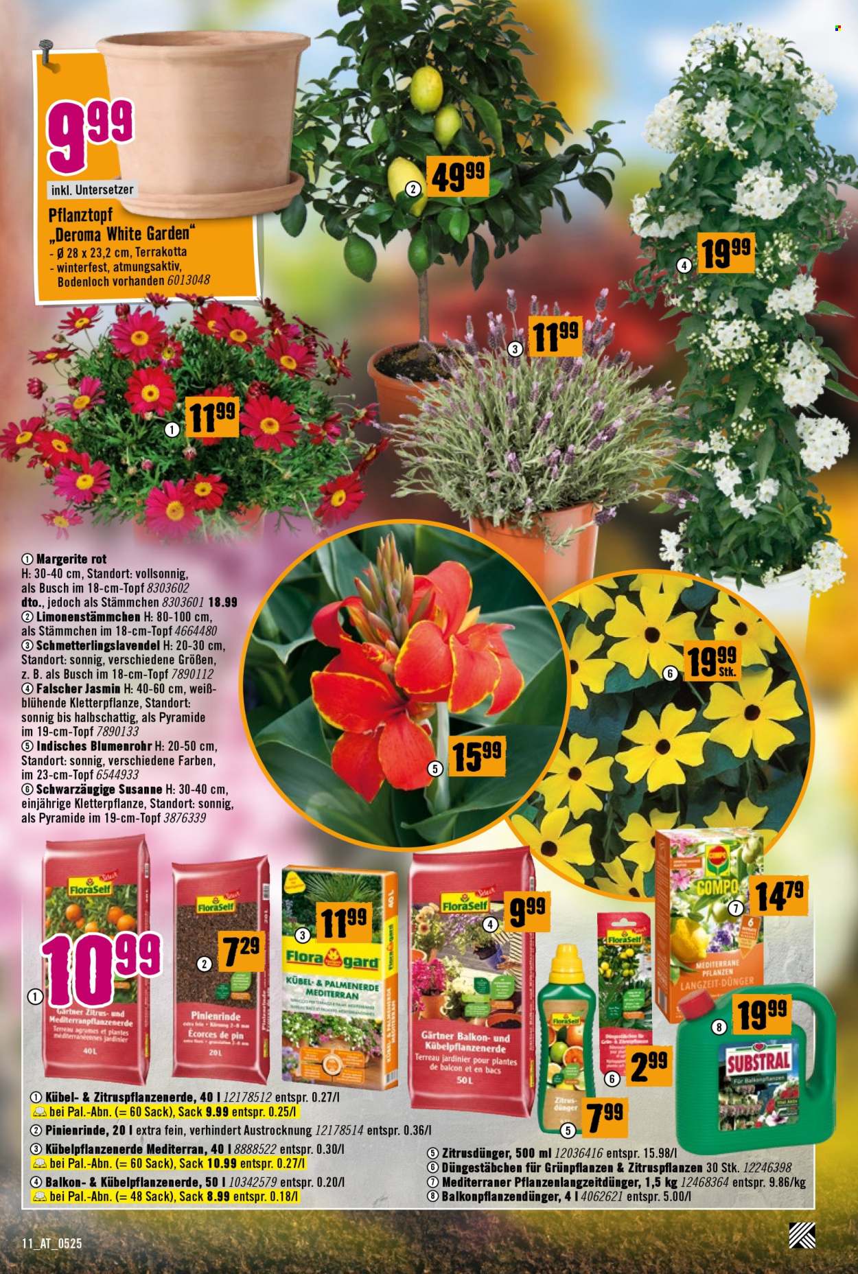 Angebote Hornbach - 8.5.2025 - 4.6.2025. Seite 1