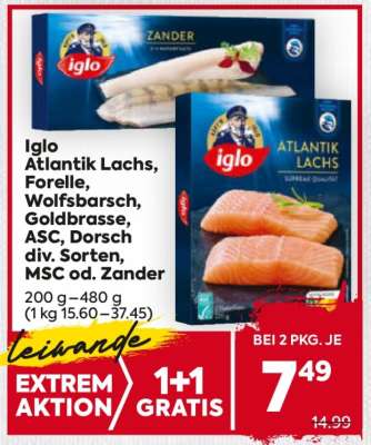 Iglo Atlantik Lachs, Forelle, Wolfsbarsch, Goldbrasse, ASC, Dorsch div. Sorten, MSC od. Zander