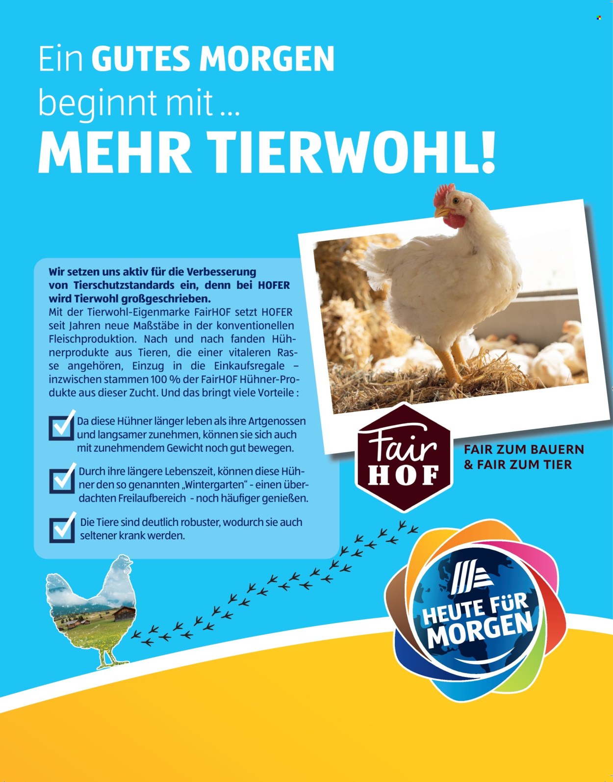 Angebote Hofer. Seite 2