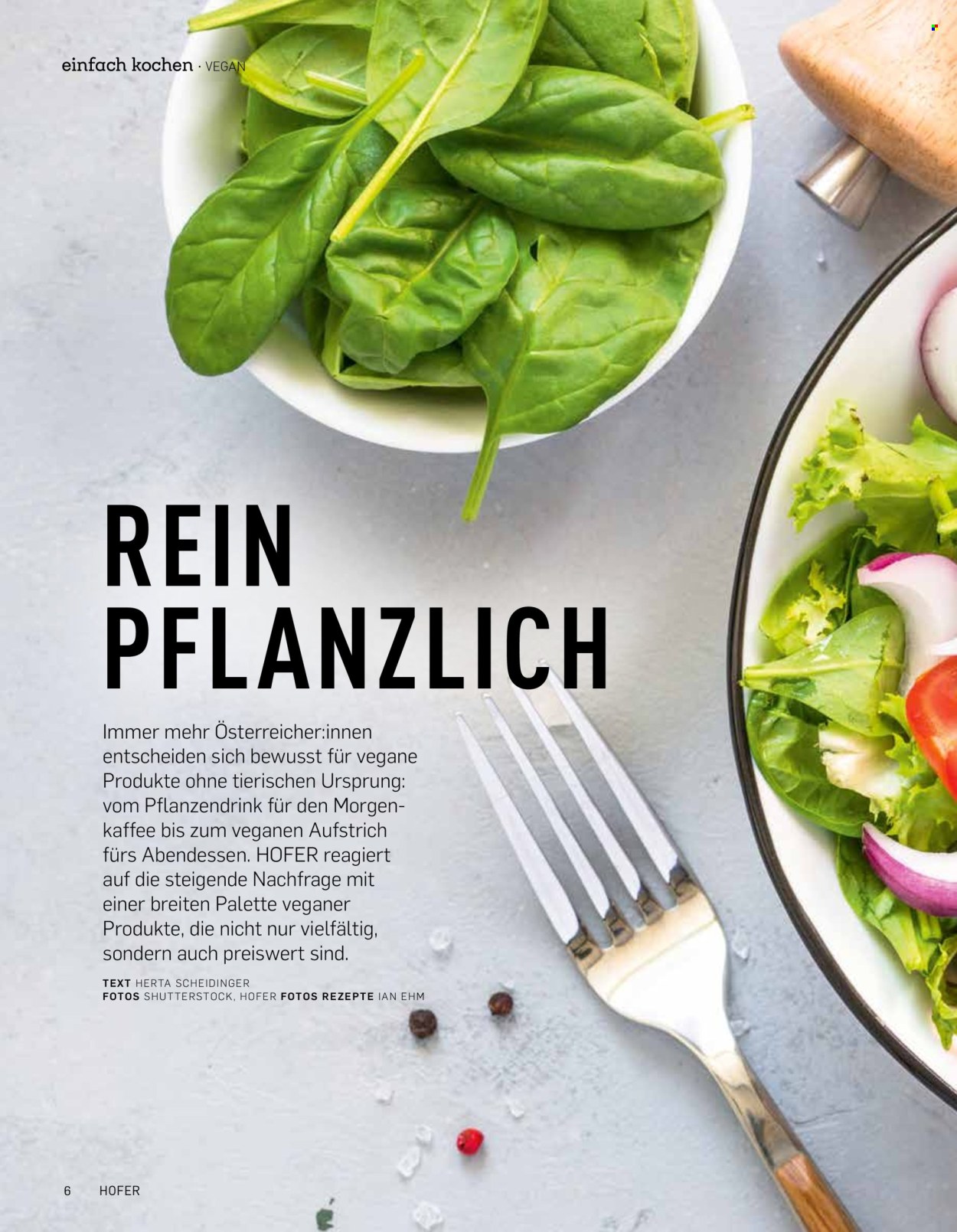 Angebote Hofer. Seite 6