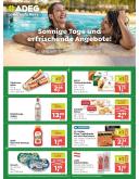 leaflet