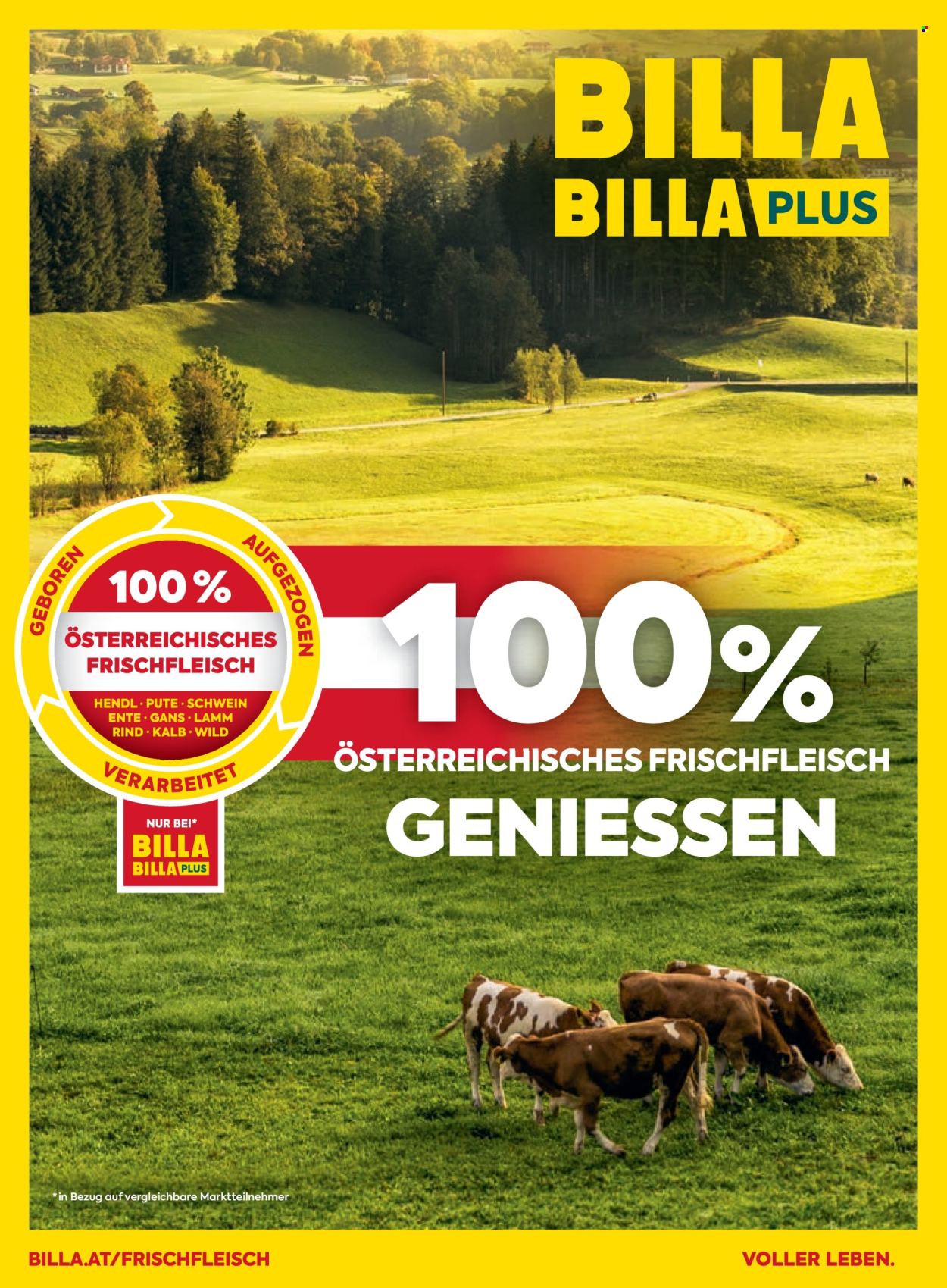 Angebote Billa - 1.7.2025 - 31.8.2025. Seite 76