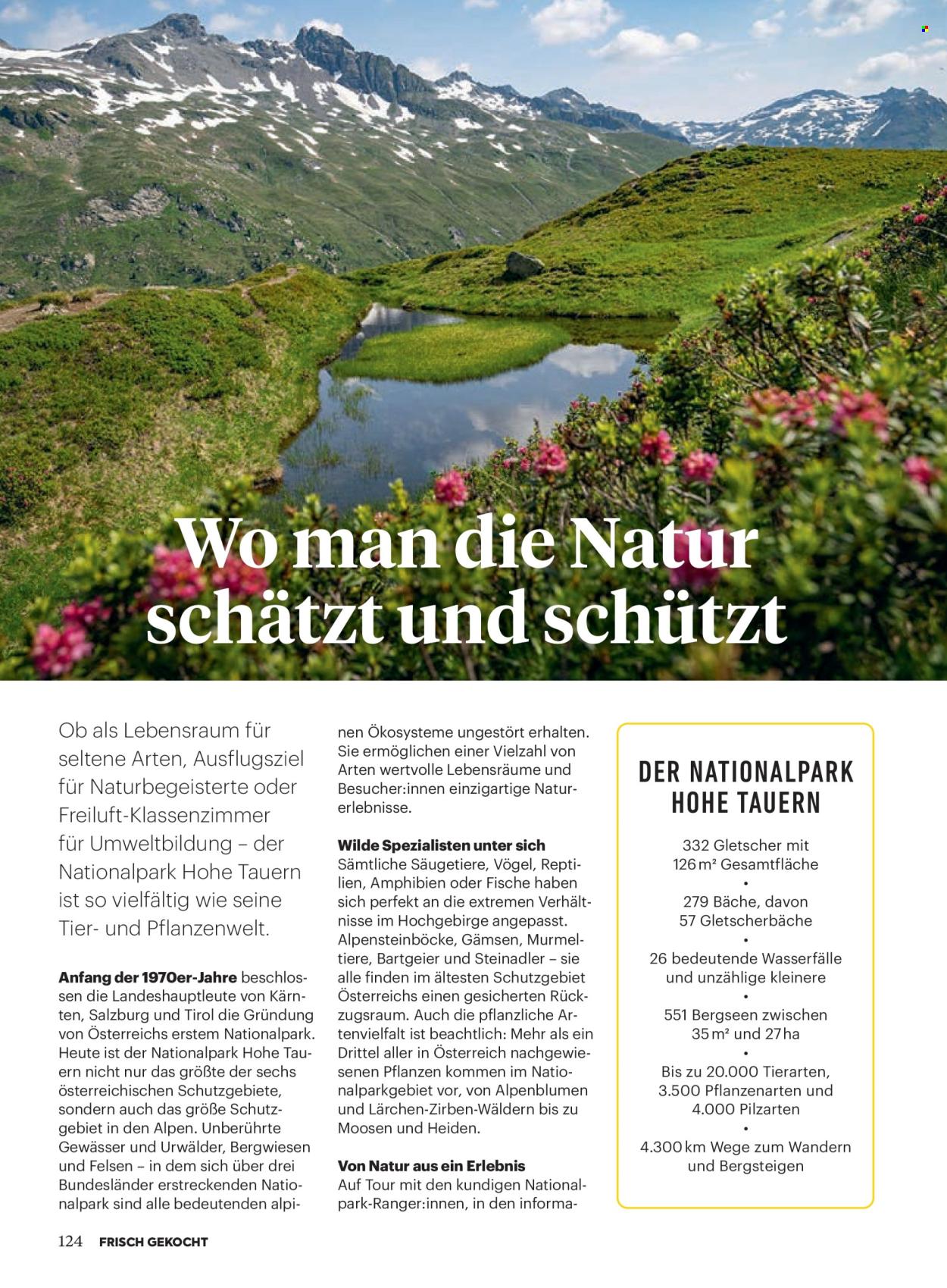 Angebote Billa - 1.7.2025 - 31.8.2025. Seite 124