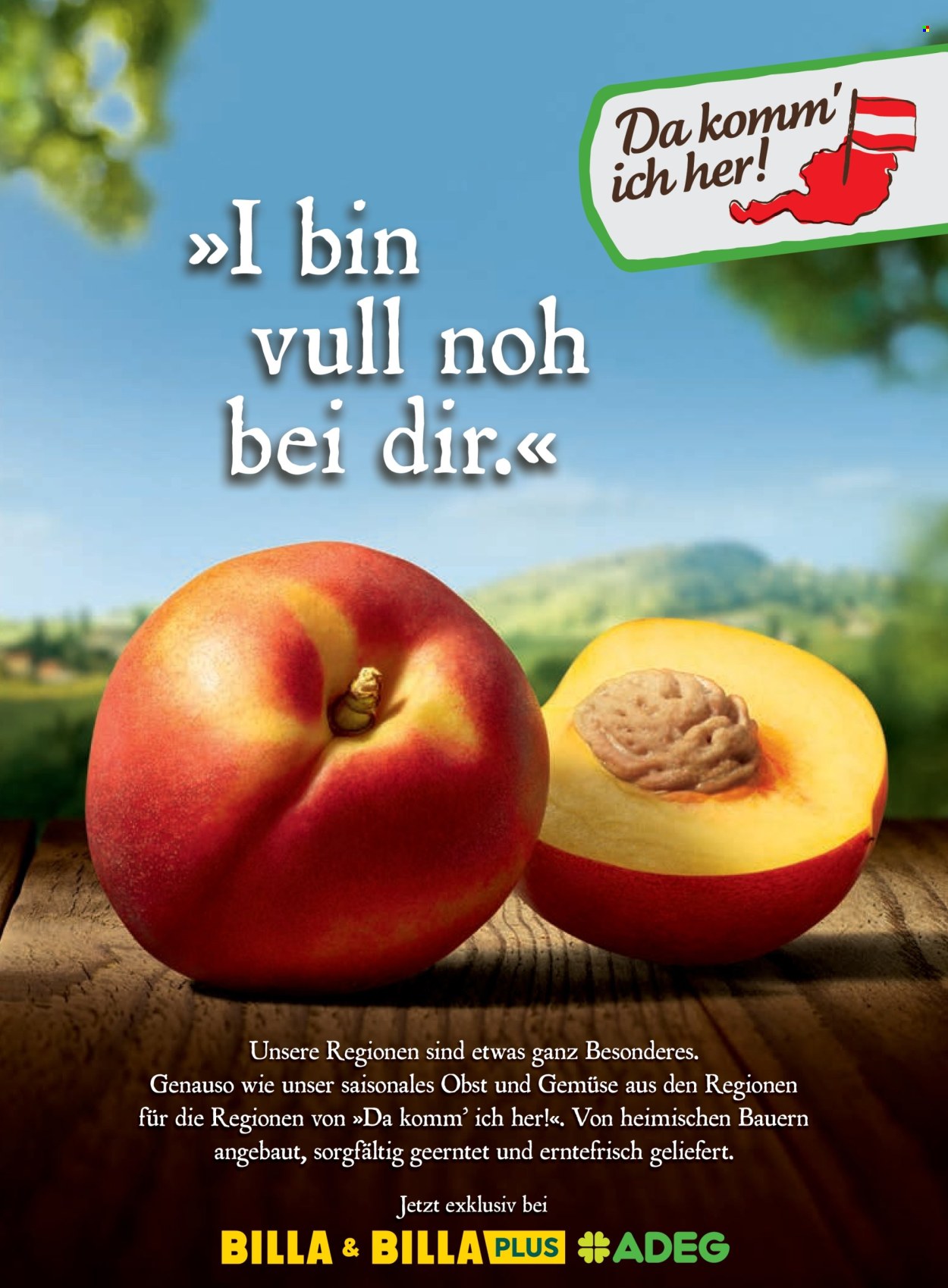 Angebote Billa - 1.7.2025 - 31.8.2025. Seite 167