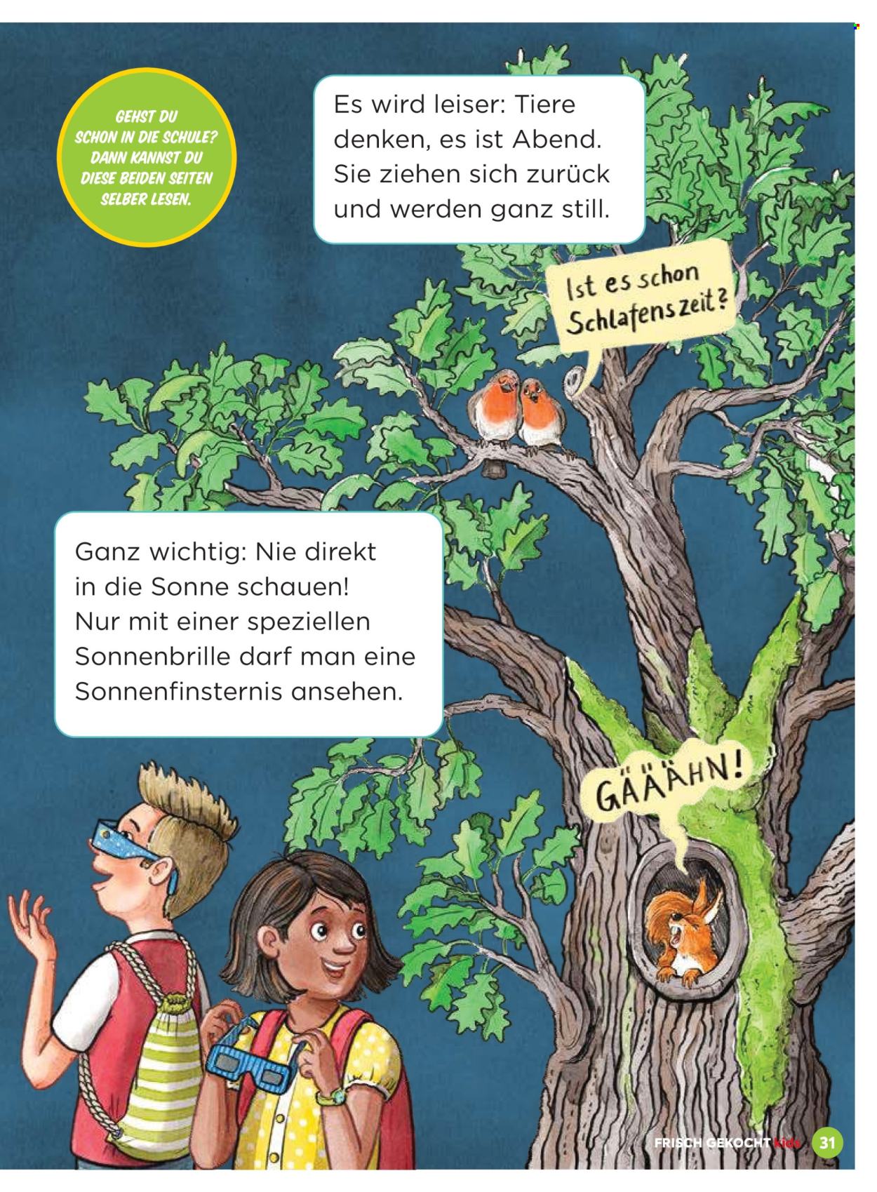 Leták Billa. Strana 31