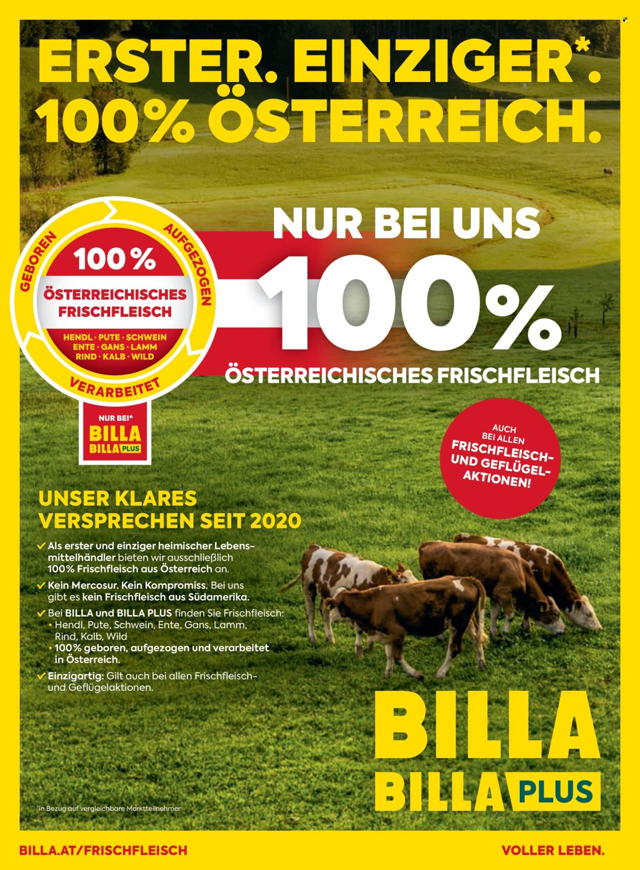 Leták Billa - 1.6.2026 - 30.6.2026. Strana 167