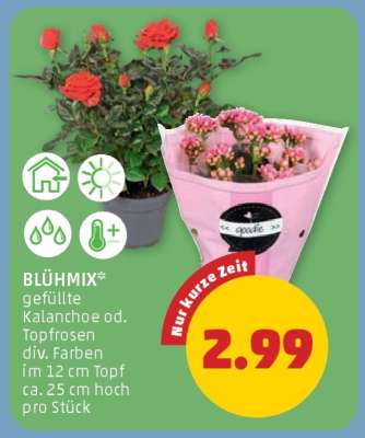 BLÜHMIX