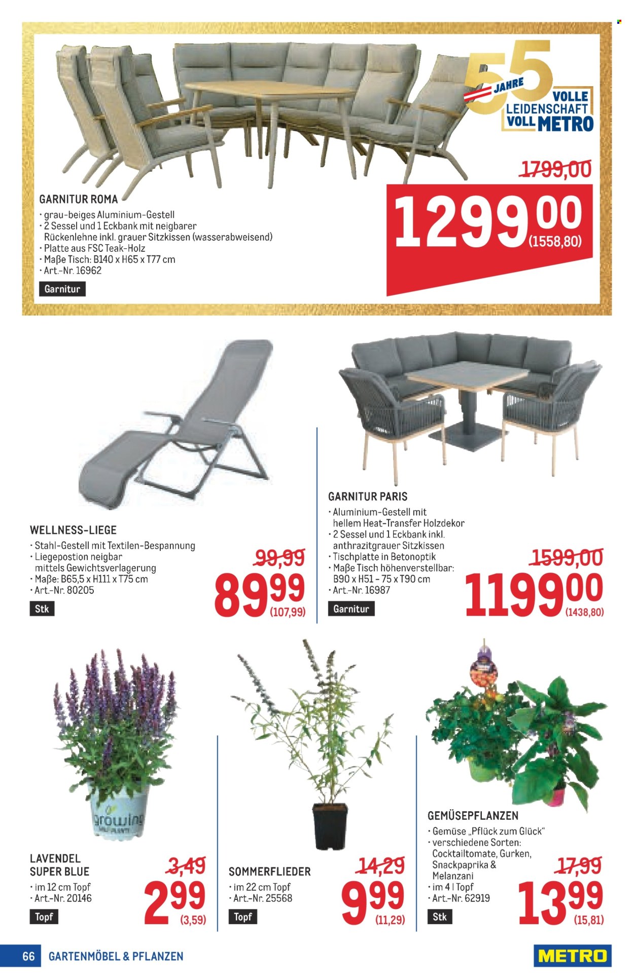 Angebote Metro - 11.6.2026 - 24.6.2026. Seite 66