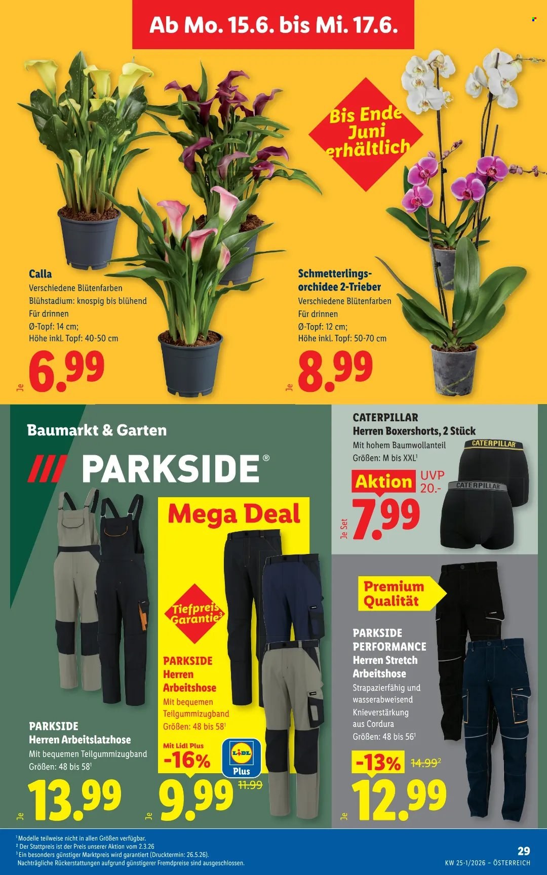 Angebote Lidl - 11.6.2026 - 17.6.2026. Seite 36