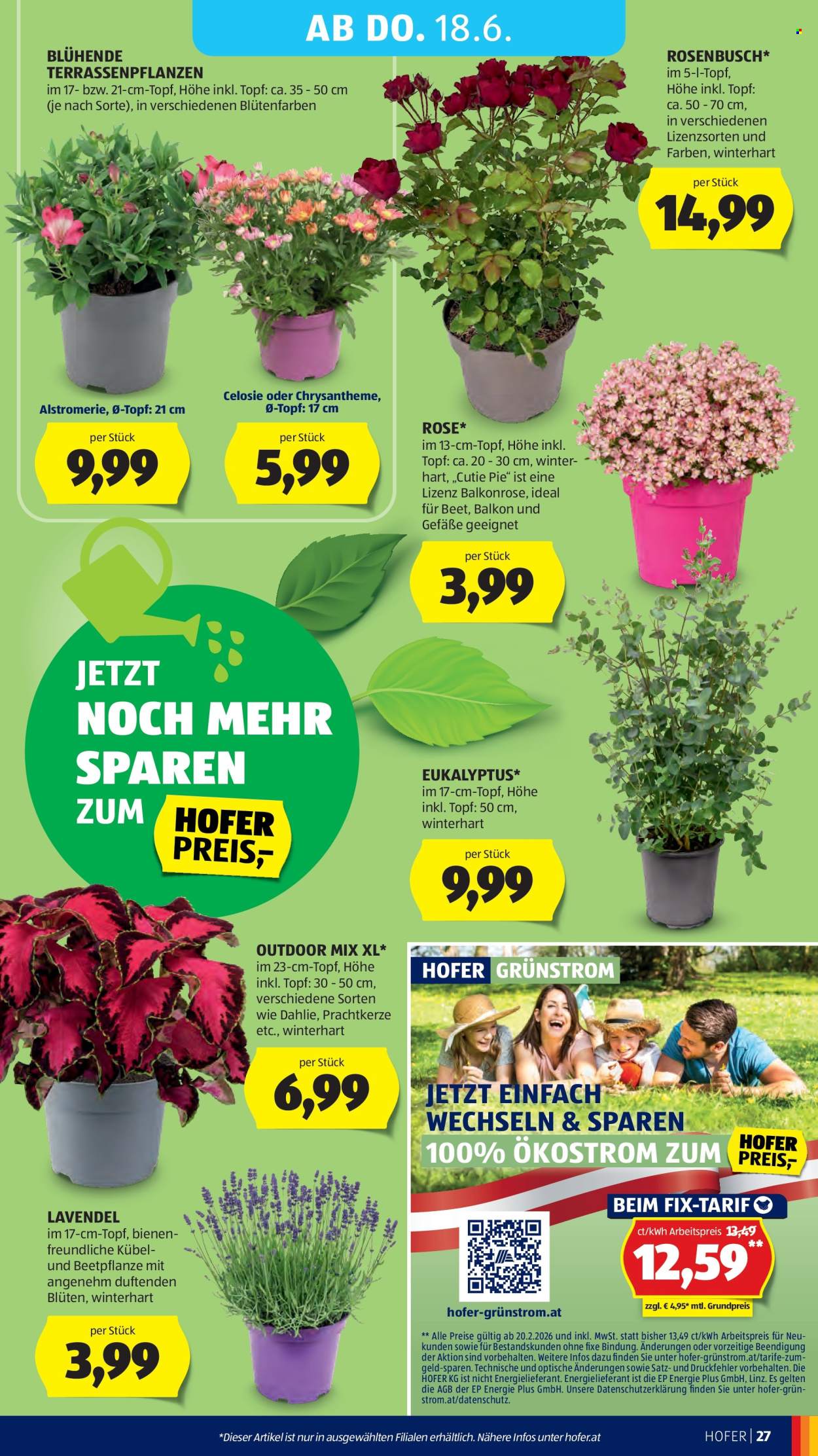 Leták Hofer - 12.6.2026 - 18.6.2026. Strana 31