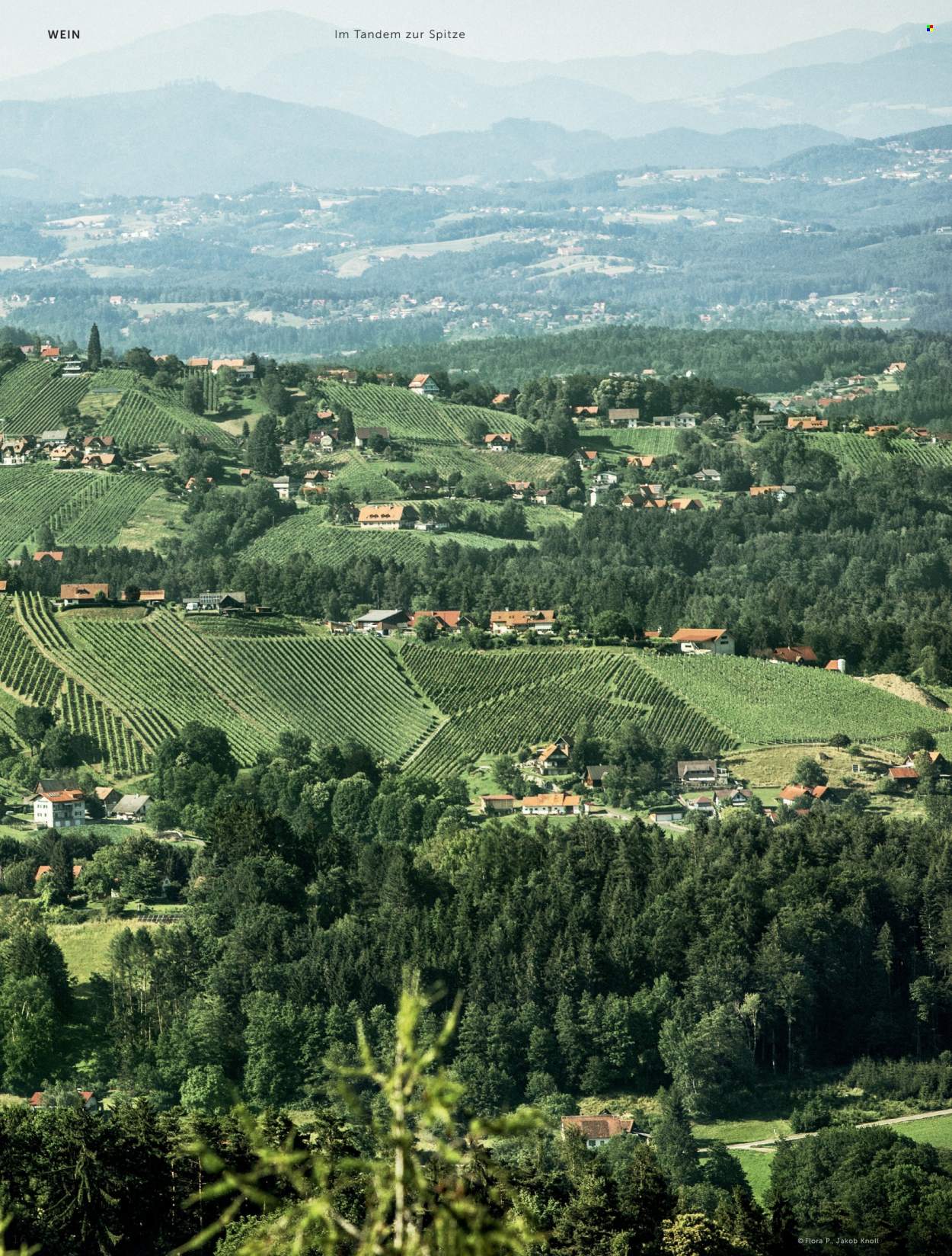Angebote INTERSPAR. Seite 16