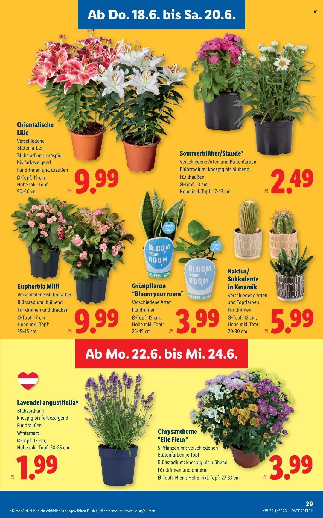 Leták Lidl - 18.6.2026 - 24.6.2026. Strana 37