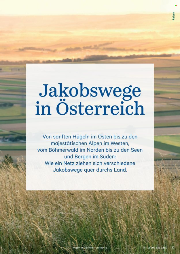 Leták Lagerhaus. Strana 37