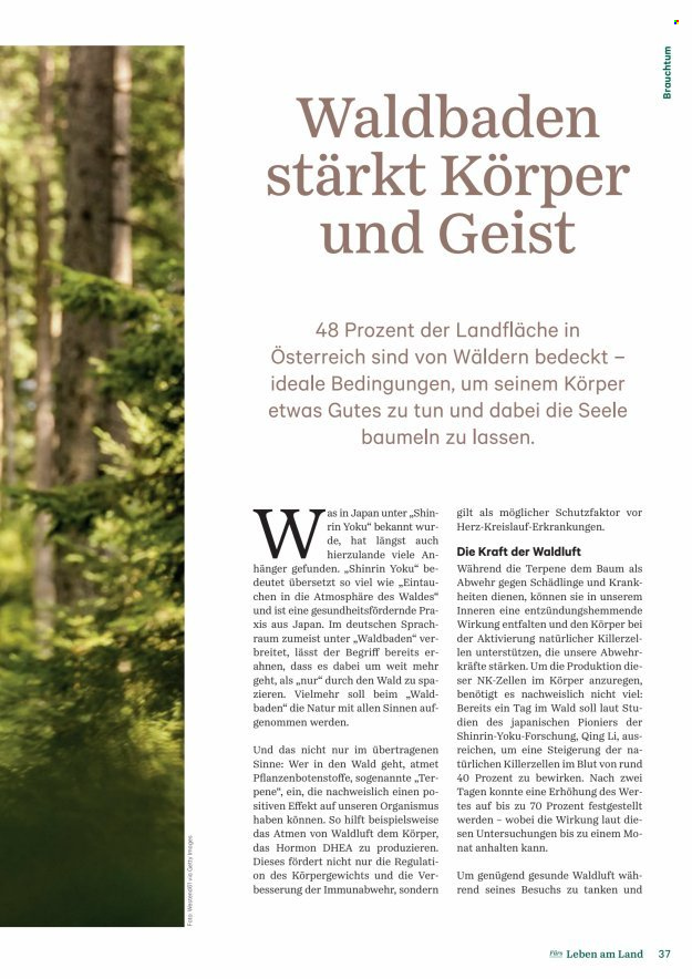 Leták Lagerhaus. Strana 37