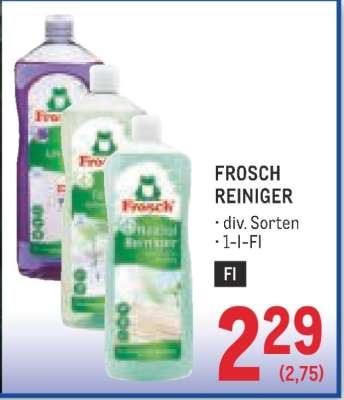 Frosch Reiniger