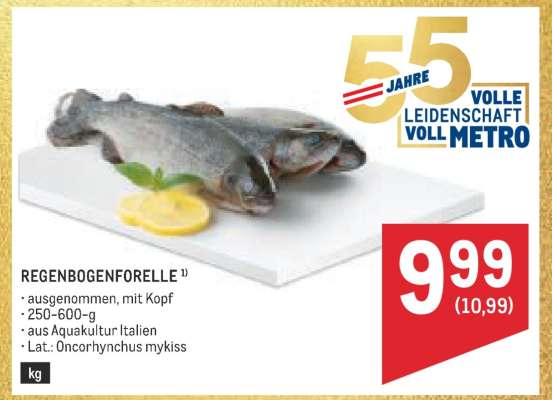 Regenbogenforelle