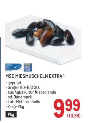 MSC MIESMUSCHELN EXTRA