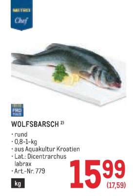 WOLFSBARSCH