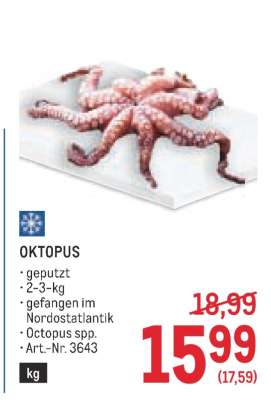 OKTOPUS