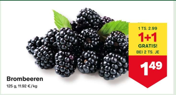 Brombeeren