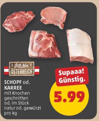 SCHOPF od. KARREE