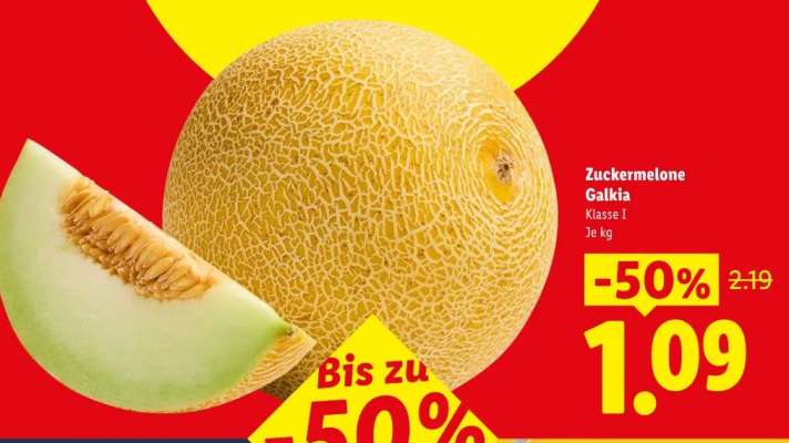 ZUCKERMELONE GALIA
