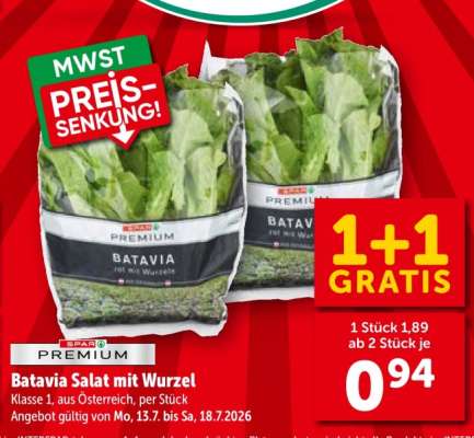 Batavia Salat mit Wurzel
