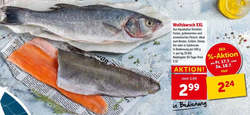 Wolfsbarsch XXL